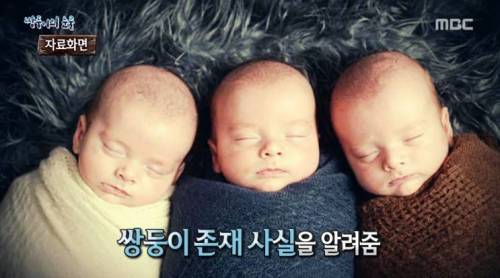 [스압] 쌍둥이의 눈물.jpg