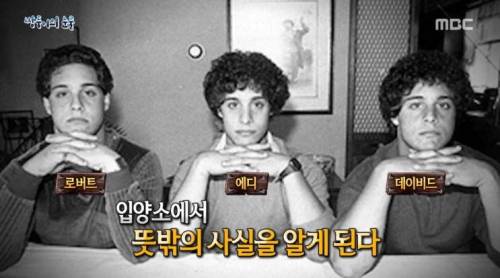 [스압] 쌍둥이의 눈물.jpg