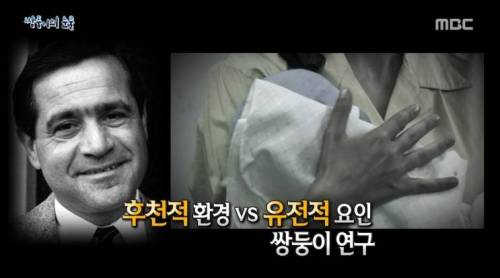 [스압] 쌍둥이의 눈물.jpg
