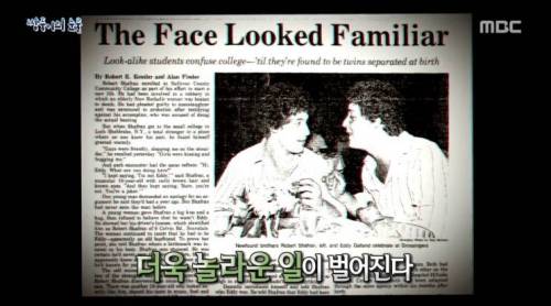 [스압] 쌍둥이의 눈물.jpg