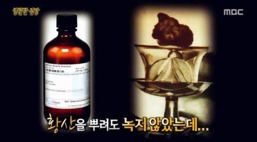 [스압] 영원한 심장.jpg