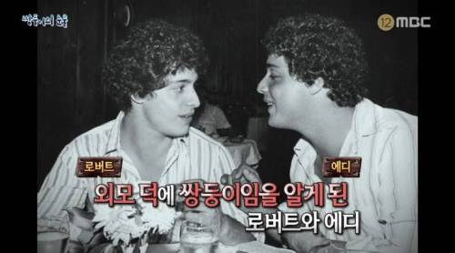 [스압] 쌍둥이의 눈물.jpg