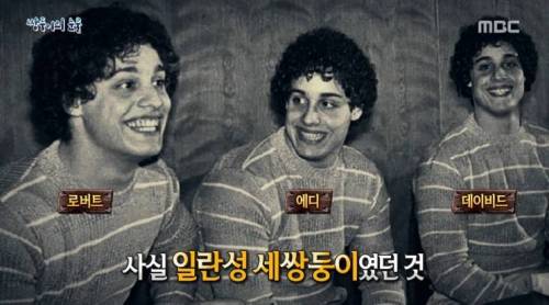 [스압] 쌍둥이의 눈물.jpg