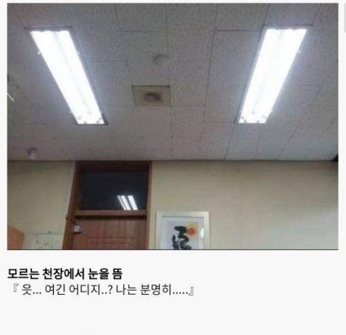 [스압] 한국에 실존하는 이세계jpg.jpg