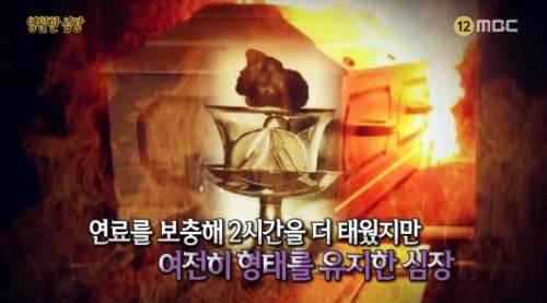 [스압] 영원한 심장.jpg