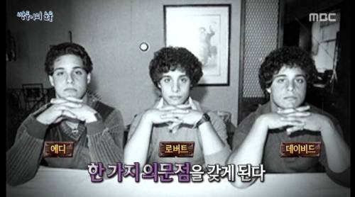 [스압] 쌍둥이의 눈물.jpg