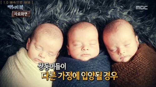 [스압] 쌍둥이의 눈물.jpg