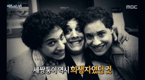 [스압] 쌍둥이의 눈물.jpg
