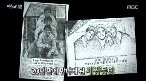 [스압] 쌍둥이의 눈물.jpg