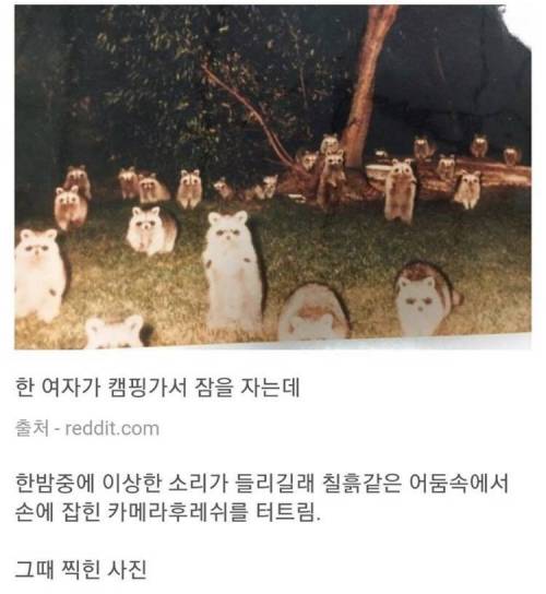 여자혼자 캠핑가서.jpg