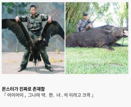[스압] 한국에 실존하는 이세계jpg.jpg
