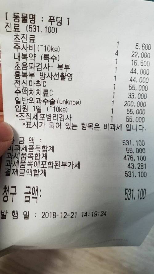 햄스터 수술비.jpg