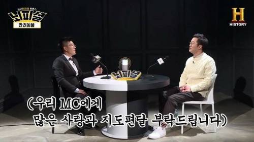 [스압] 개 vs 고양이 진정한 반려동물은?