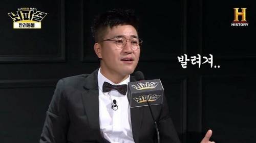 [스압] 개 vs 고양이 진정한 반려동물은?