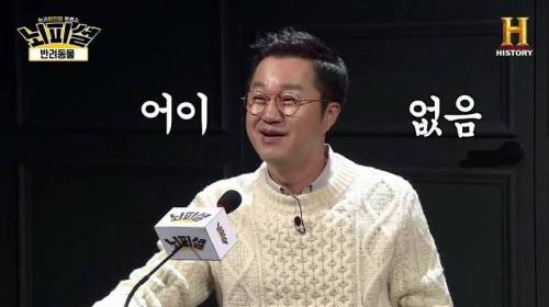 [스압] 개 vs 고양이 진정한 반려동물은?