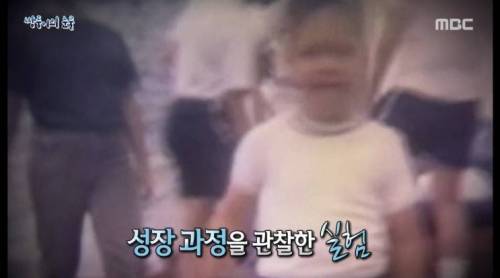 [스압] 쌍둥이의 눈물.jpg
