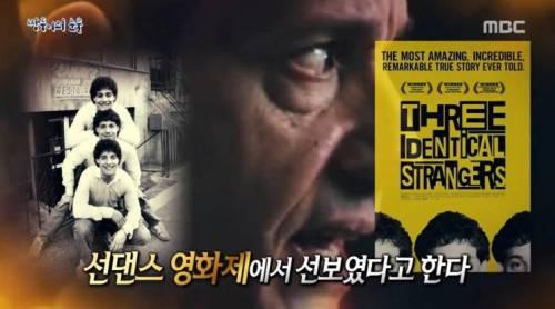 [스압] 쌍둥이의 눈물.jpg