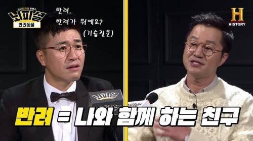 [스압] 개 vs 고양이 진정한 반려동물은?