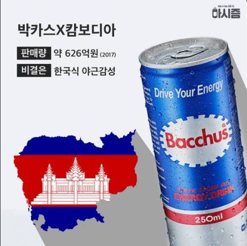 박카스 근황 .jpg