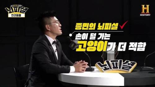 [스압] 개 vs 고양이 진정한 반려동물은?
