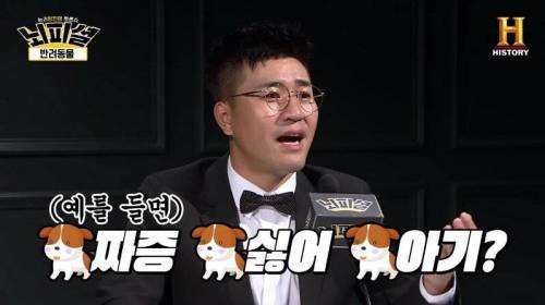 [스압] 개 vs 고양이 진정한 반려동물은?