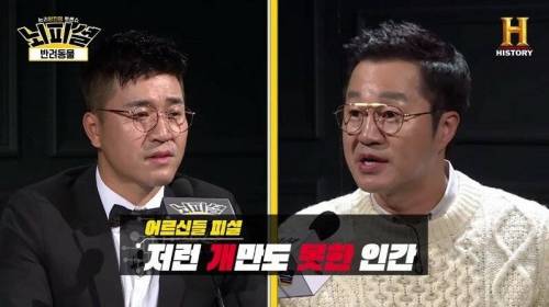 [스압] 개 vs 고양이 진정한 반려동물은?