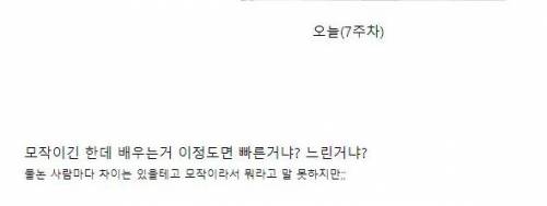 일러스트 학원 다닌지 7주 후 실력 .jpg