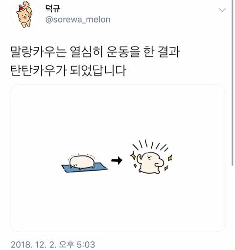 유익한 트위터.jpg