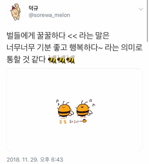 유익한 트위터.jpg
