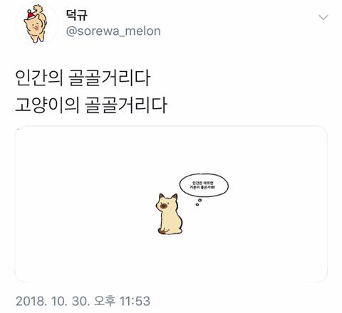 유익한 트위터.jpg