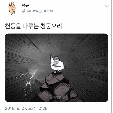 유익한 트위터.jpg