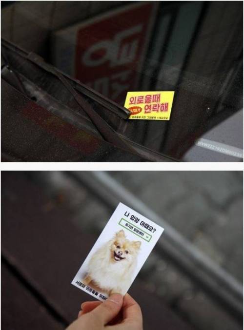 외로울때 연락해.jpg