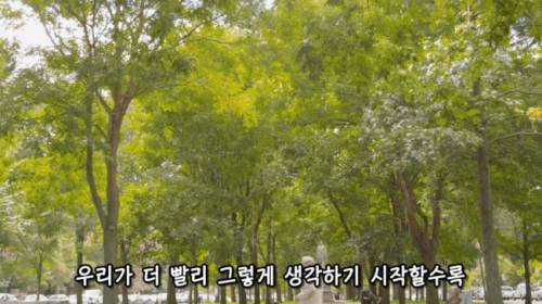 [스압] 도시에 나무를 더 많이 심어야 하는 이유