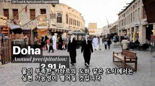 [스압] 도시에 나무를 더 많이 심어야 하는 이유
