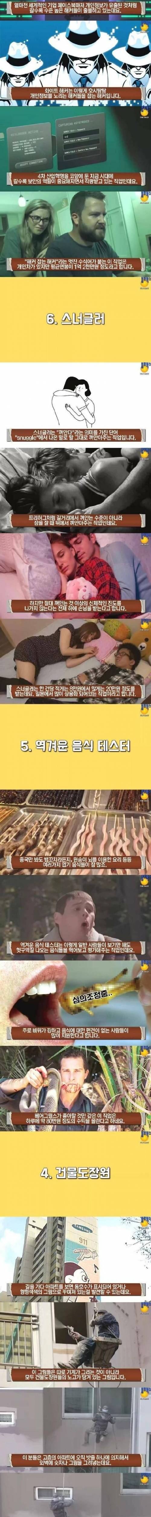 [스압] 의외로 돈 많이 버는 희귀한 직업 TOP10.jpg