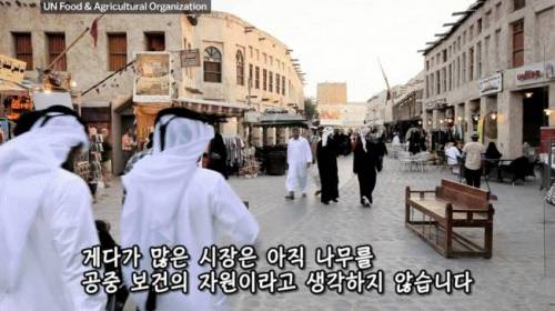 [스압] 도시에 나무를 더 많이 심어야 하는 이유