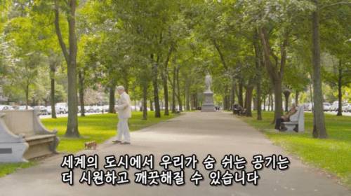 [스압] 도시에 나무를 더 많이 심어야 하는 이유