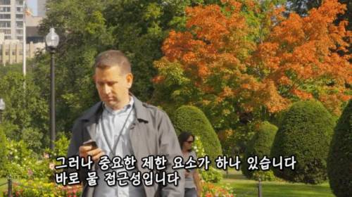 [스압] 도시에 나무를 더 많이 심어야 하는 이유