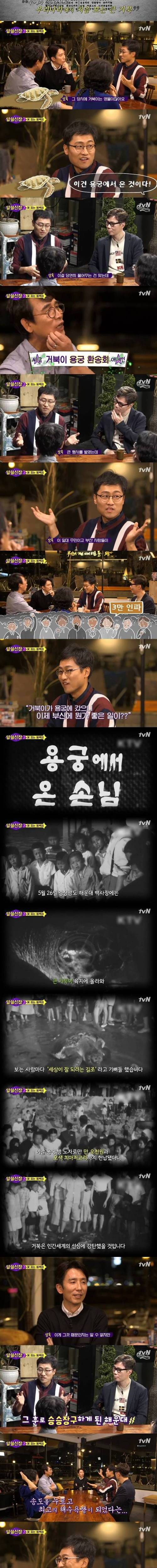 [스압] 해운대 거북이.jpg