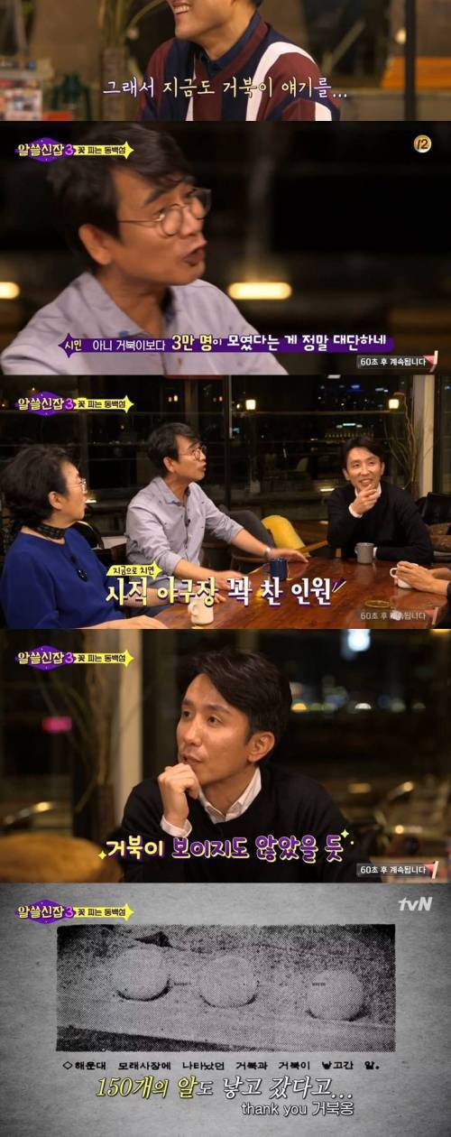 [스압] 해운대 거북이.jpg