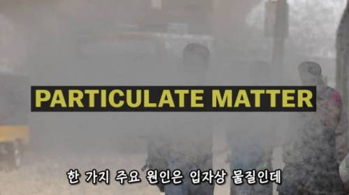 [스압] 도시에 나무를 더 많이 심어야 하는 이유