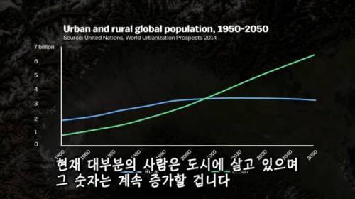 [스압] 도시에 나무를 더 많이 심어야 하는 이유