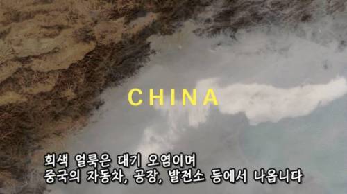 [스압] 도시에 나무를 더 많이 심어야 하는 이유