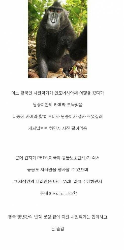 특이점이 온 저작권 .jpg