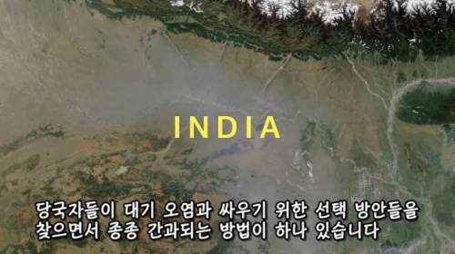 [스압] 도시에 나무를 더 많이 심어야 하는 이유