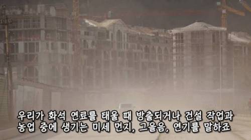 [스압] 도시에 나무를 더 많이 심어야 하는 이유
