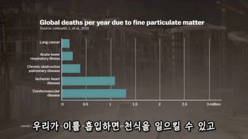 [스압] 도시에 나무를 더 많이 심어야 하는 이유