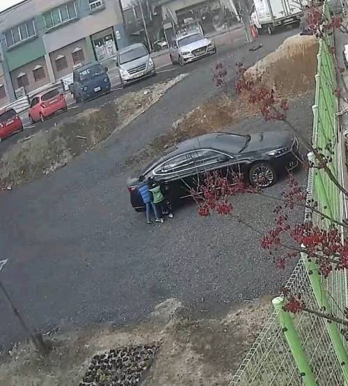 초딩들이 제 차에 낙서를 하고 갔습니다.jpg