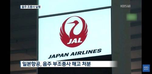 일본 항공사들 근황.jpg