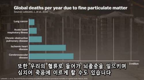 [스압] 도시에 나무를 더 많이 심어야 하는 이유